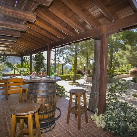Ricky Chalet Near Troodos Spilia Exterior photo