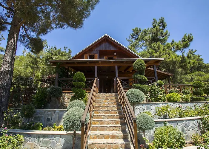 Ricky Chalet Near Troodos