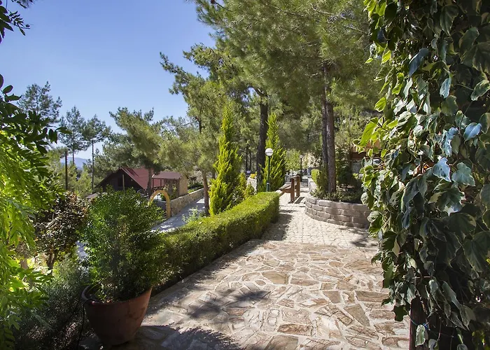 Ricky Chalet Near Troodos