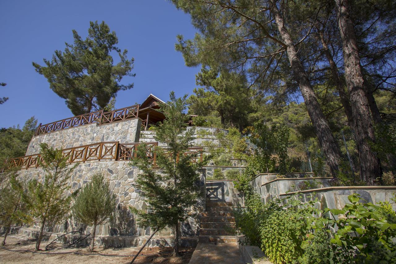 Ricky Near Troodos *
