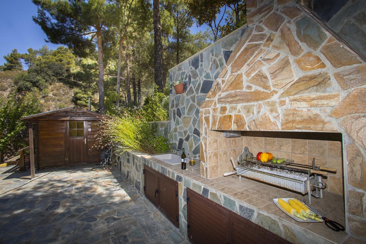 Ricky Near Troodos *