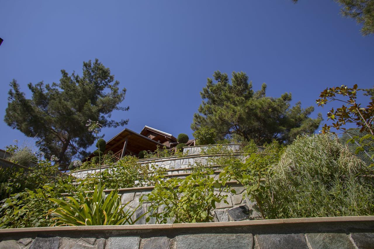 Chalet Ricky Near Troodos *