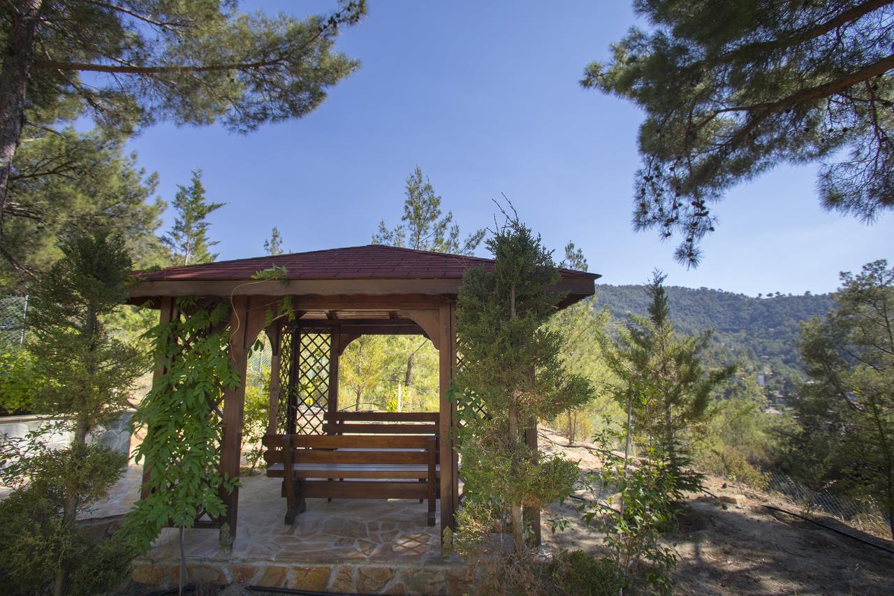 Ricky Near Troodos Chalet Spilia