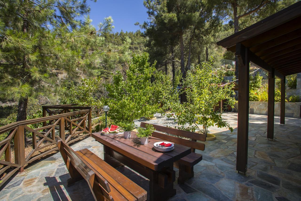 Chalet Ricky Near Troodos Spilia