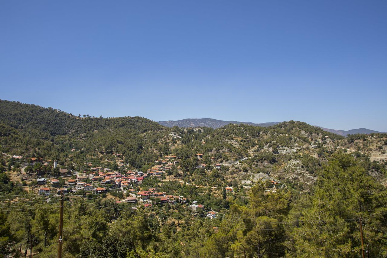 Ricky Near Troodos