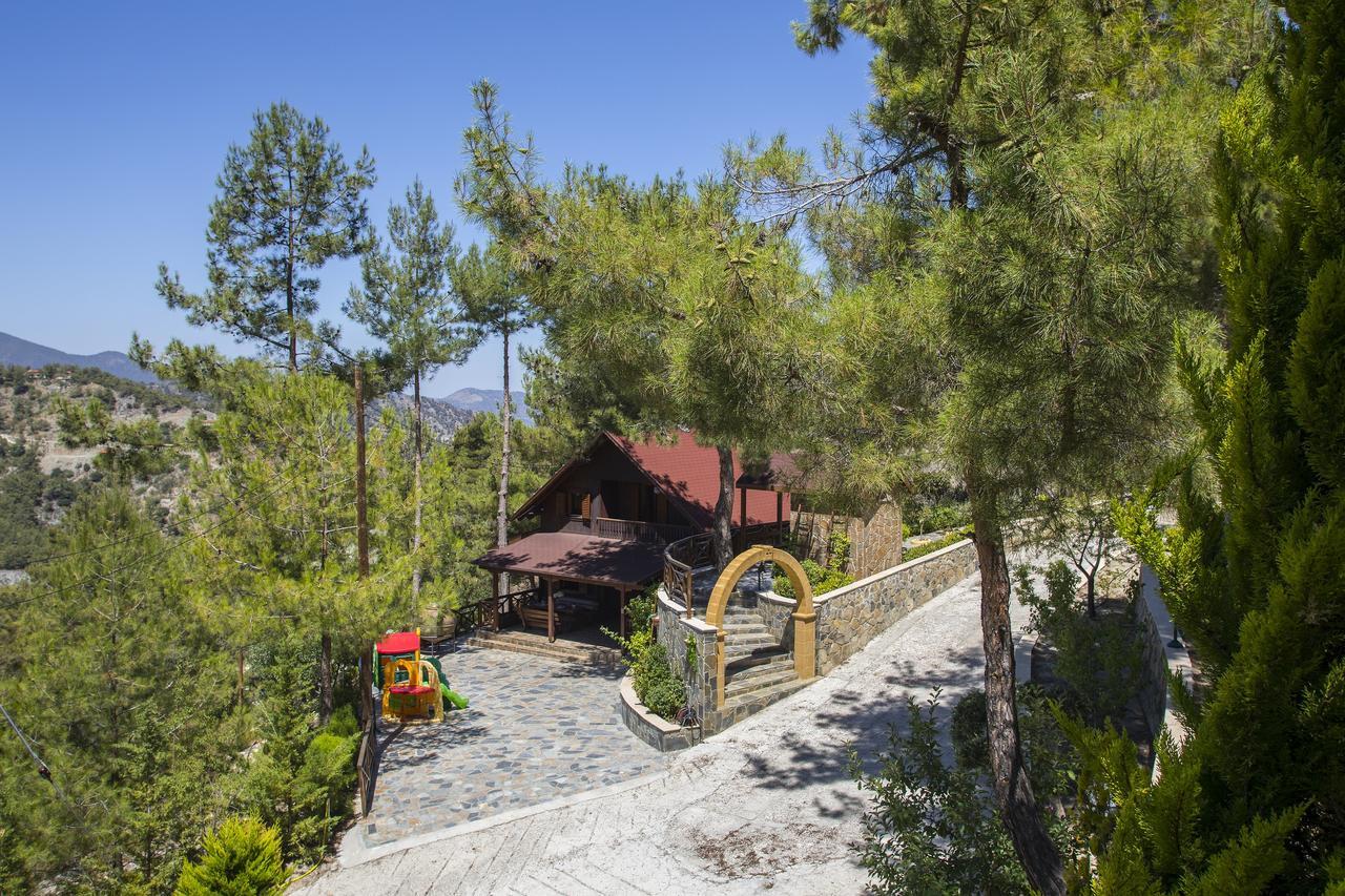 Ricky Near Troodos Chalet Spilia