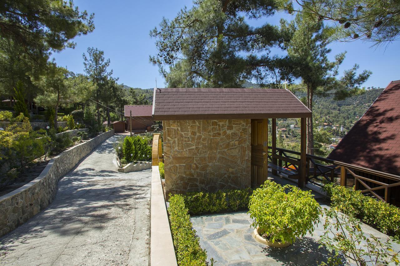Ricky Near Troodos * Spilia