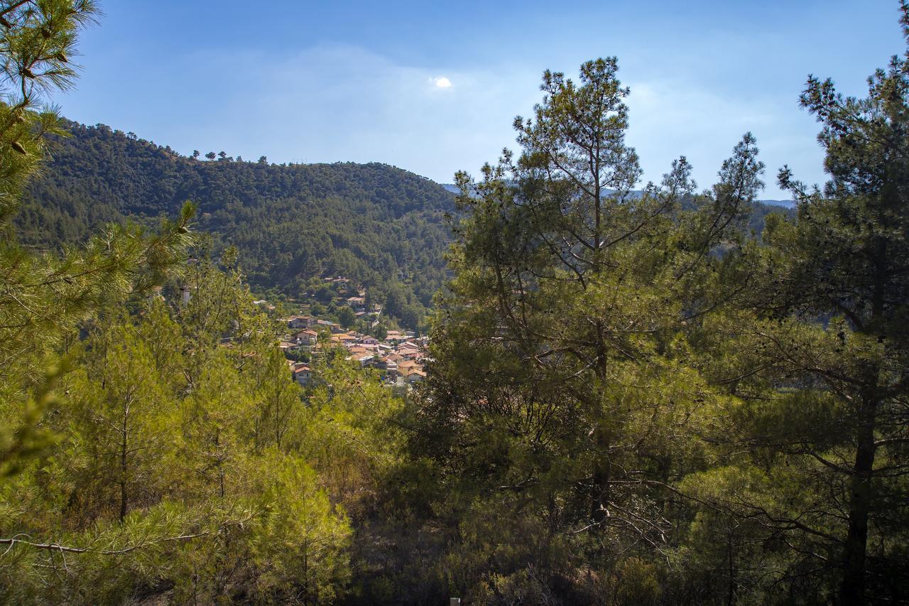 Ricky Near Troodos * Spilia