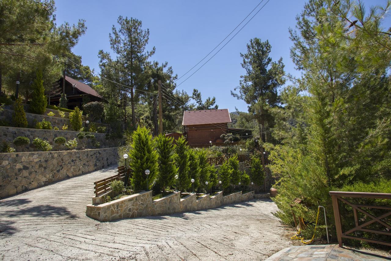 Ricky Near Troodos Chalet