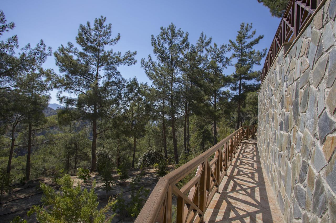 Ricky Near Troodos Chalet