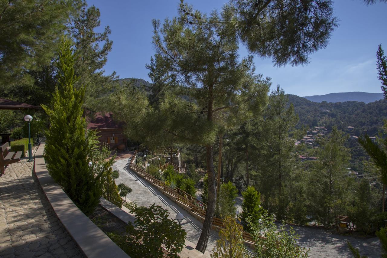 Ricky Near Troodos Chalet Spilia