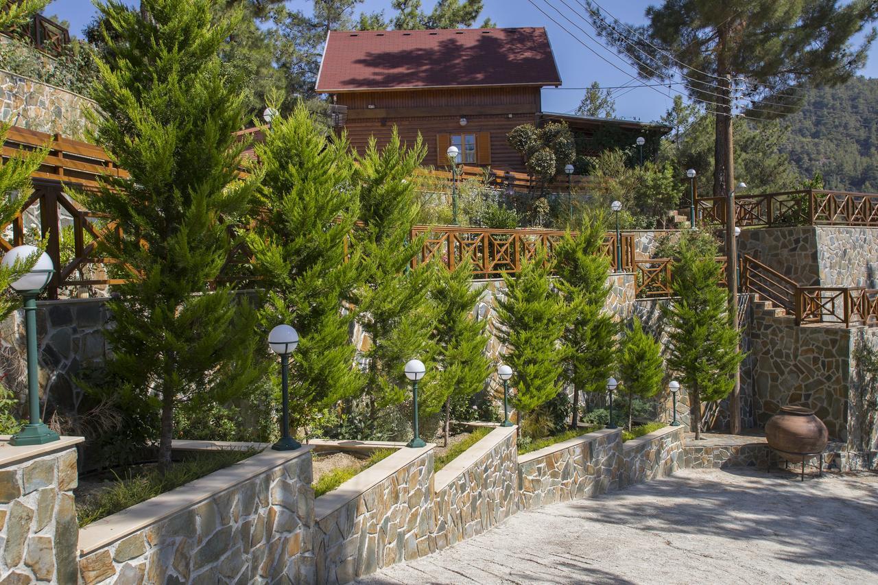Ricky Near Troodos *