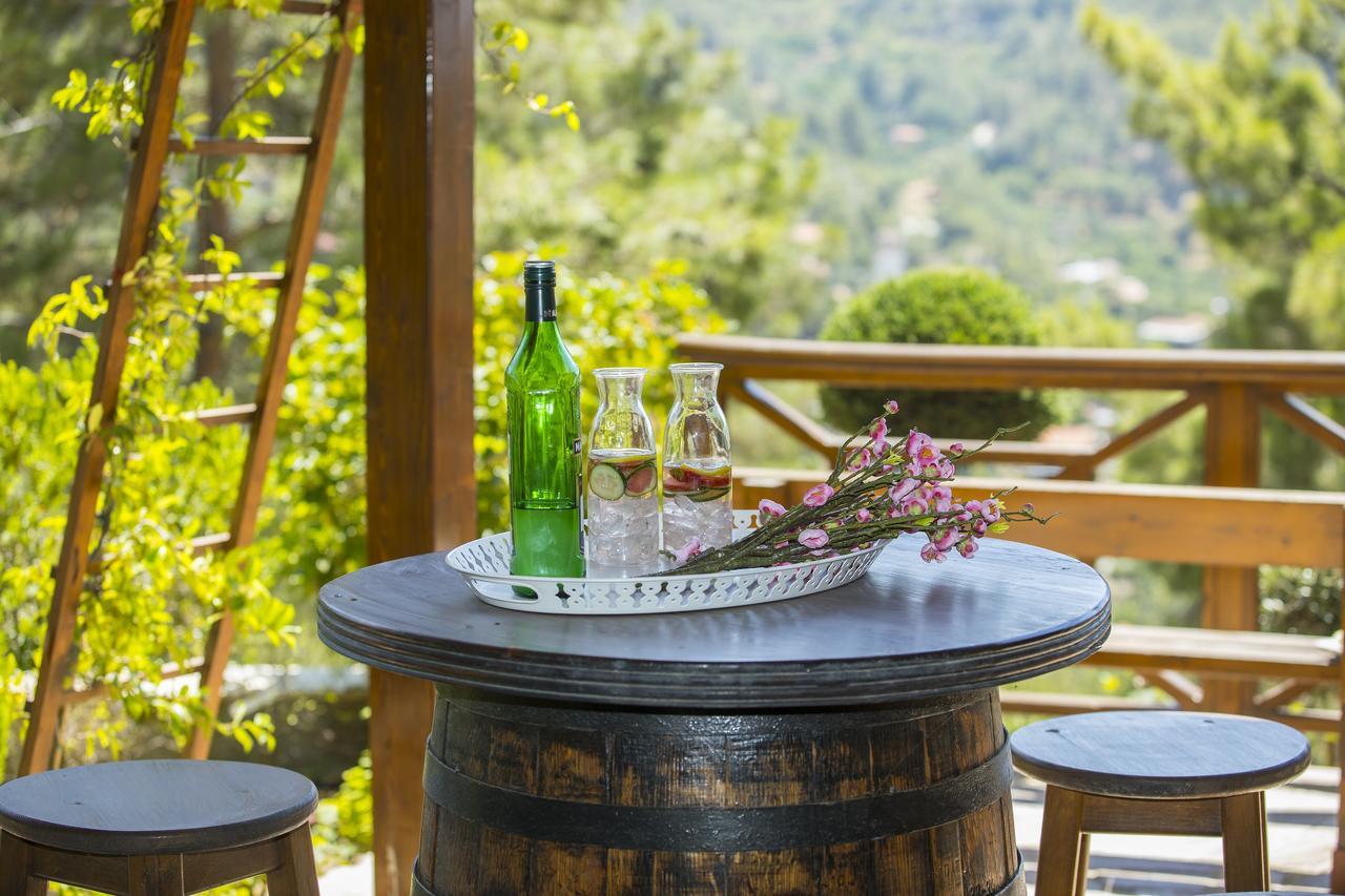 Chalet Ricky Near Troodos