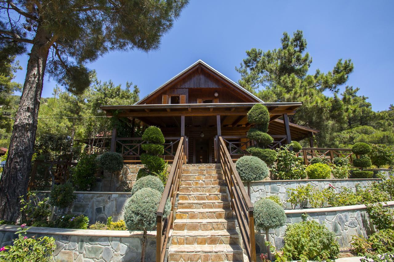 Ricky Near Troodos