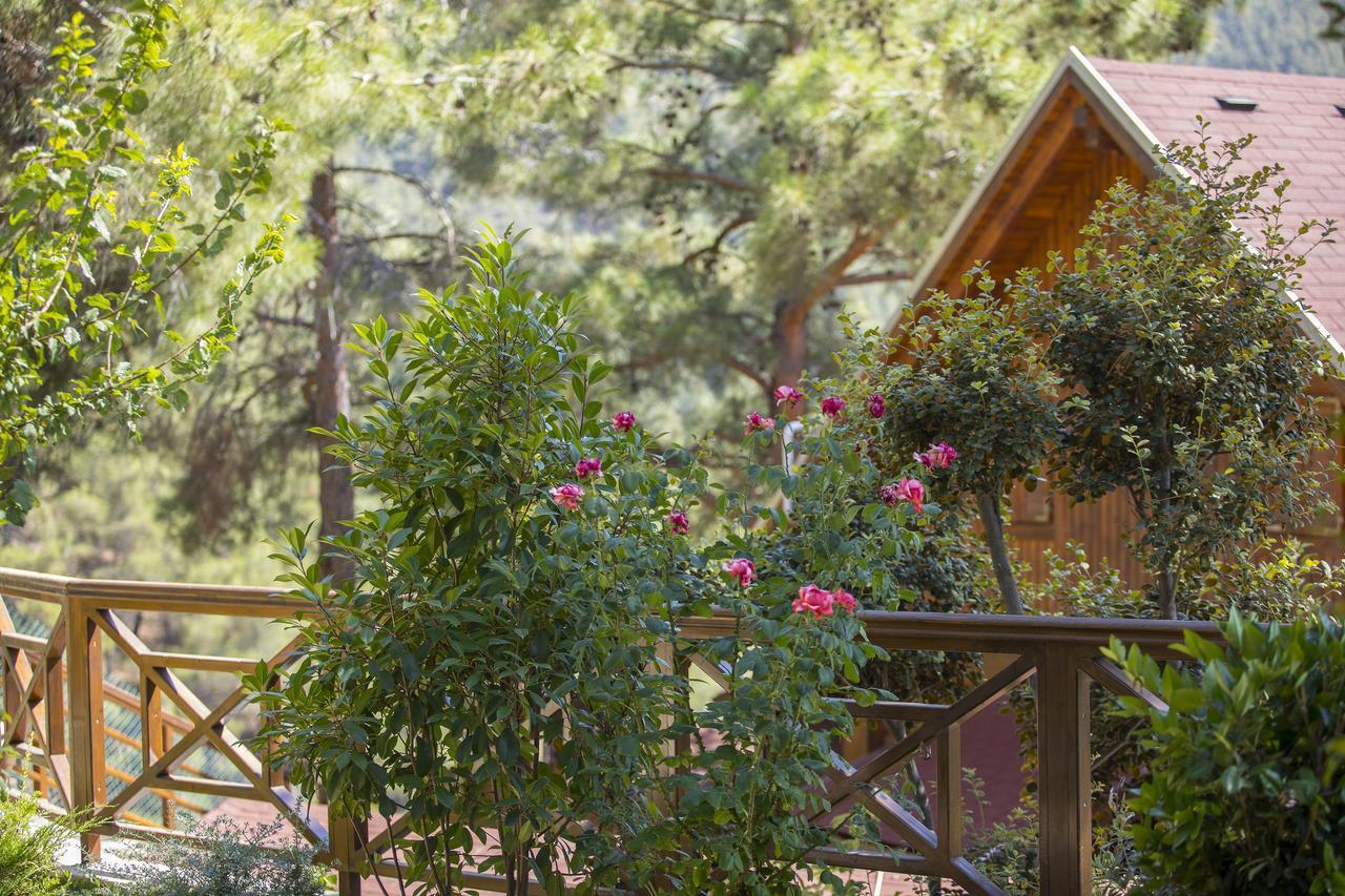 Chalet Ricky Near Troodos *