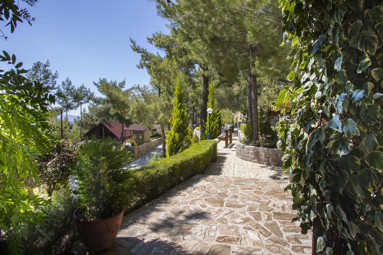 Ricky Near Troodos Chalet