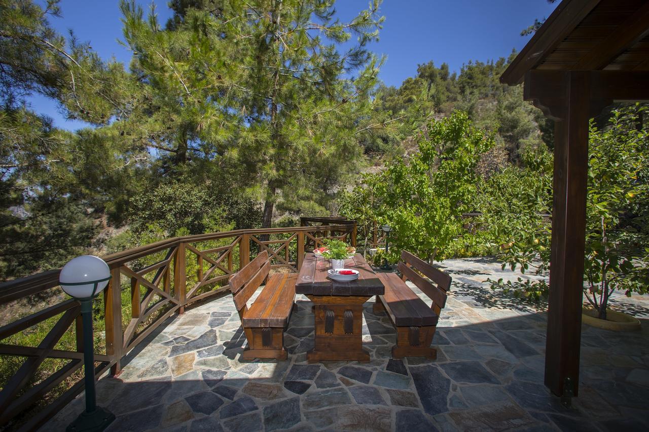 Ricky Near Troodos Chalet