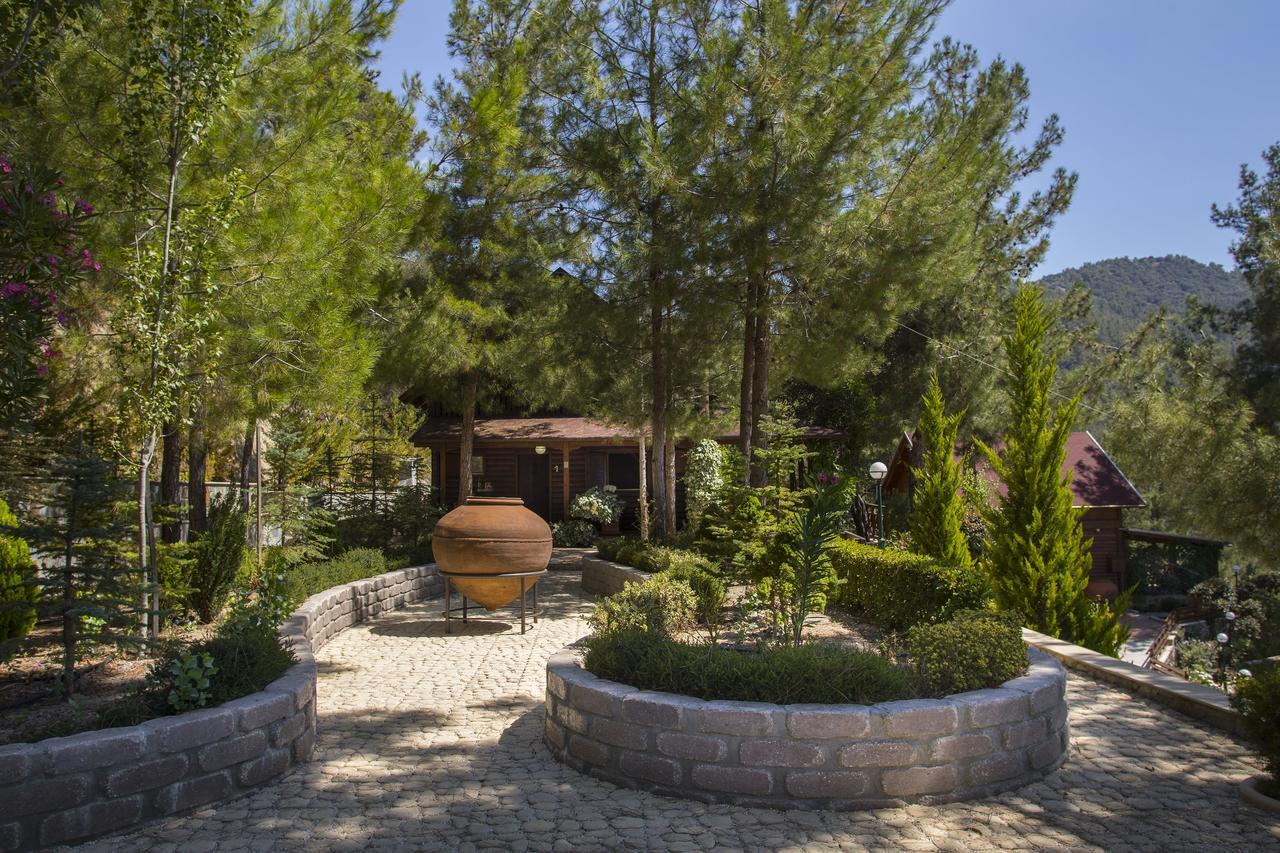 Ricky Near Troodos