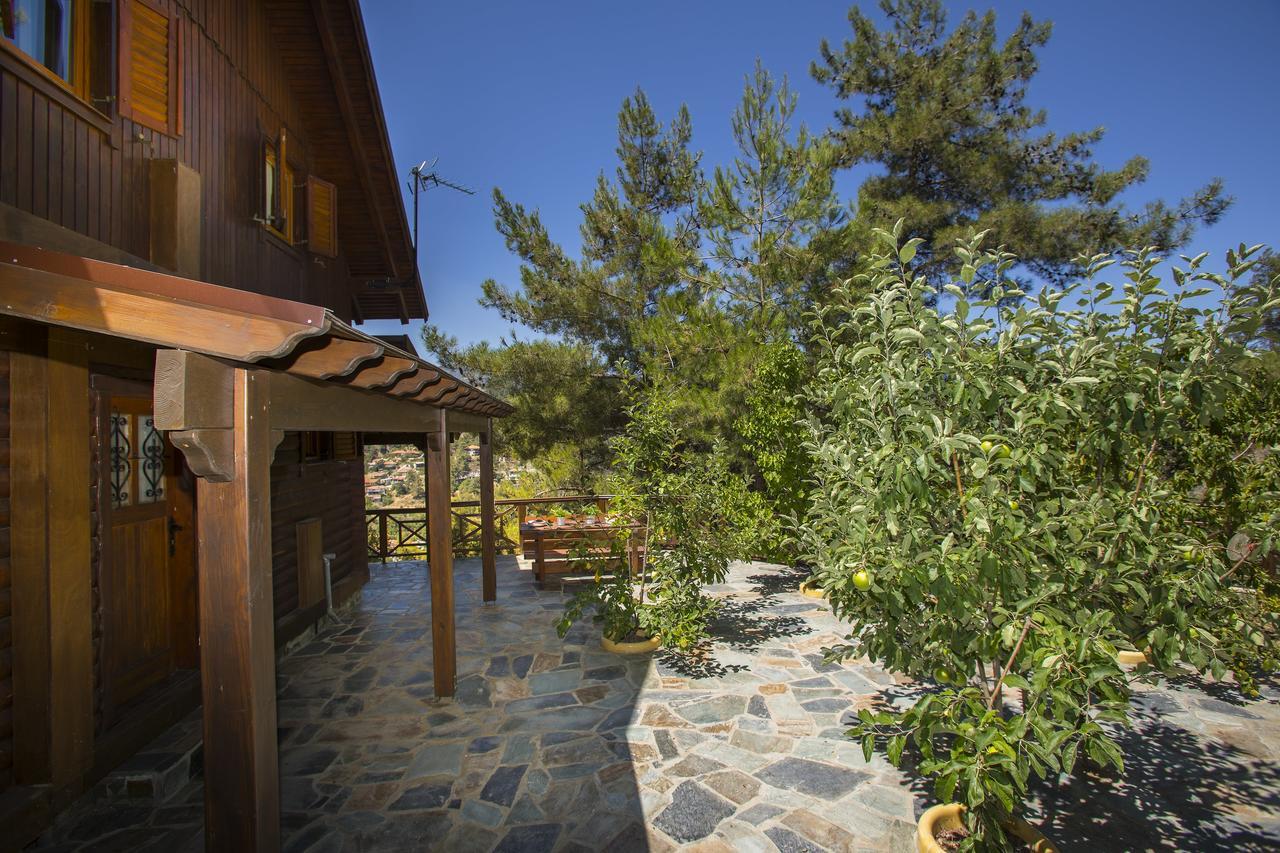 Ricky Near Troodos Chalet